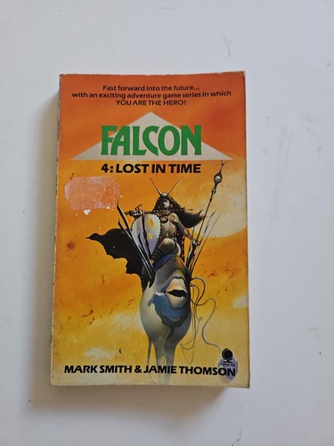 Falcon gamebook lost - falcon, in